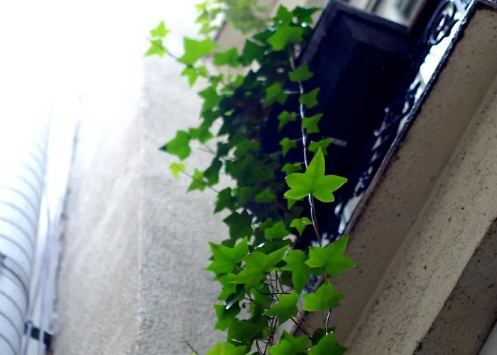 아파트 Clair Et Lumineux Au Centre De 파리